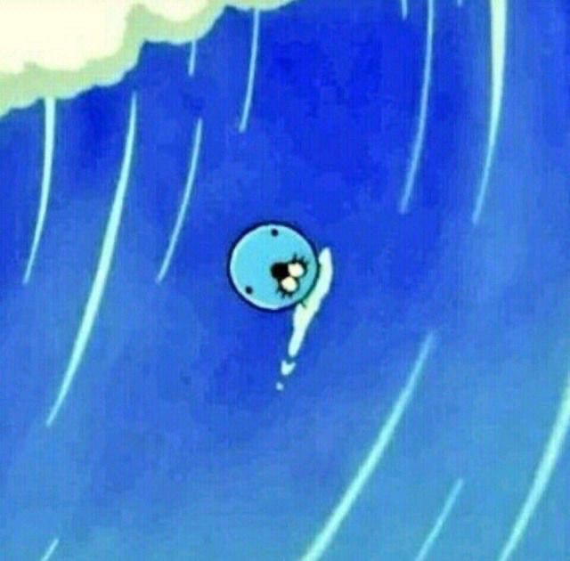 와앙앙