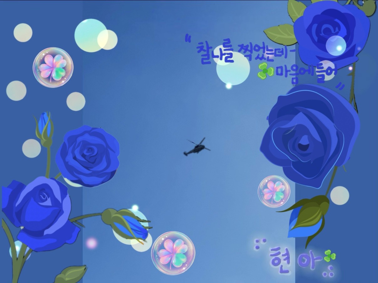 이리와요, 자자. 