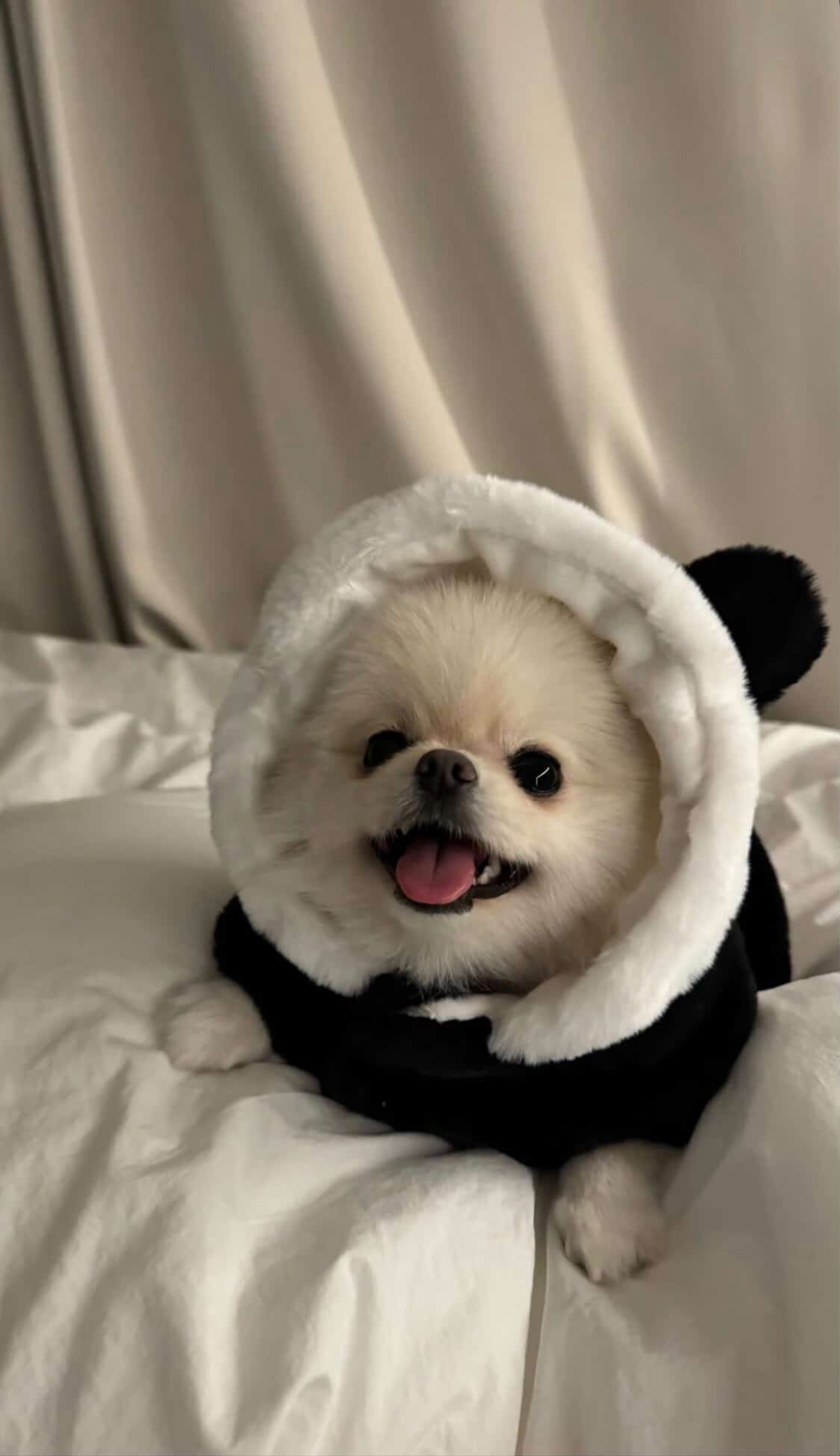 # 흠