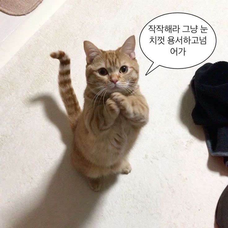 고객님 죄송합니다