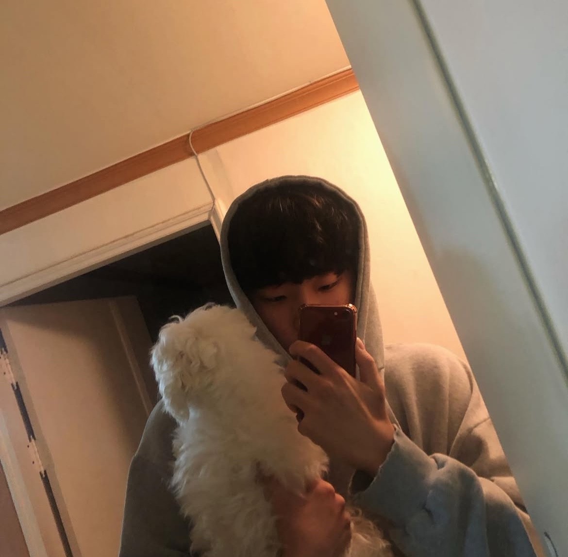마감 감사합니다! 룰렛 20개 꽃다발