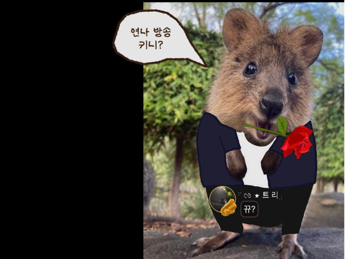 이리와요, 늦잠 자자. 