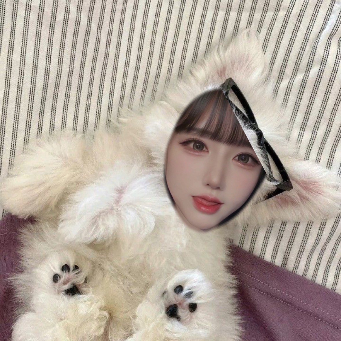 안 오면 너 손해야