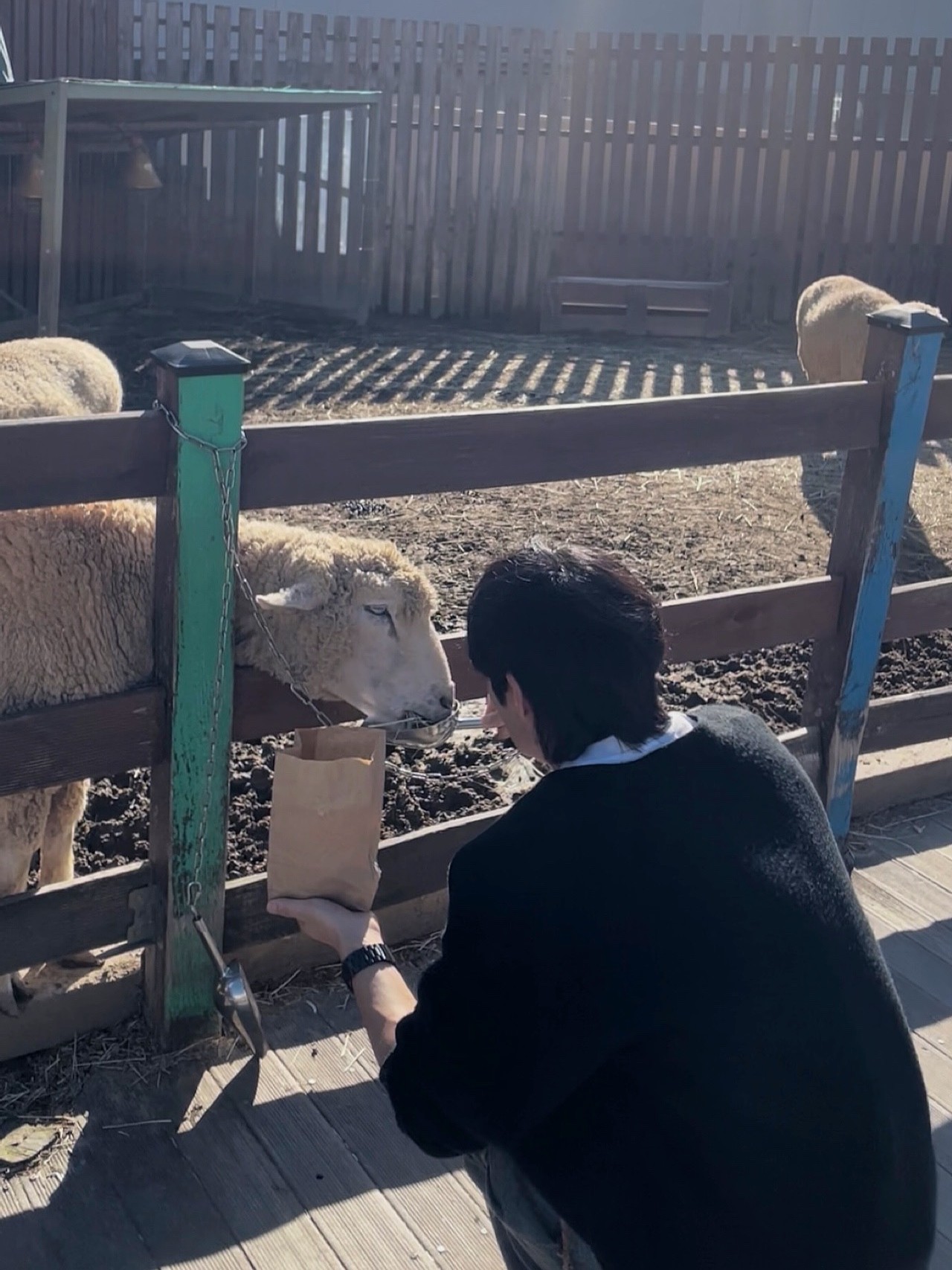 #마감~ 담좌 온달 맹호