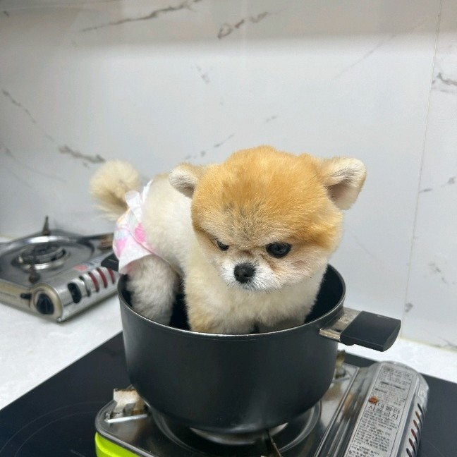 # ㅋ