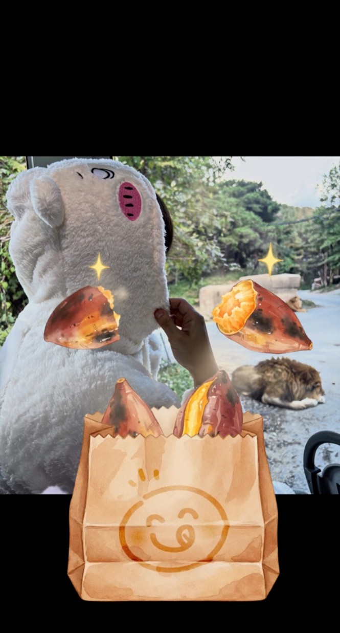 편안함을 추구합니다 🌙