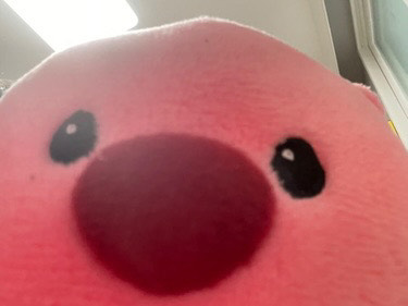 라콜ㄹ