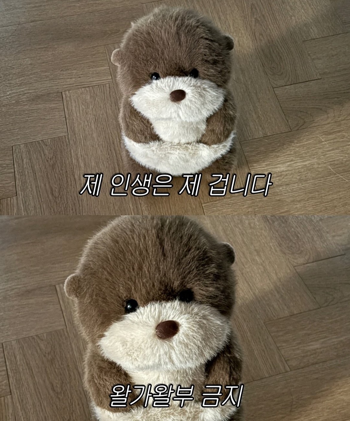 플리ㅜ