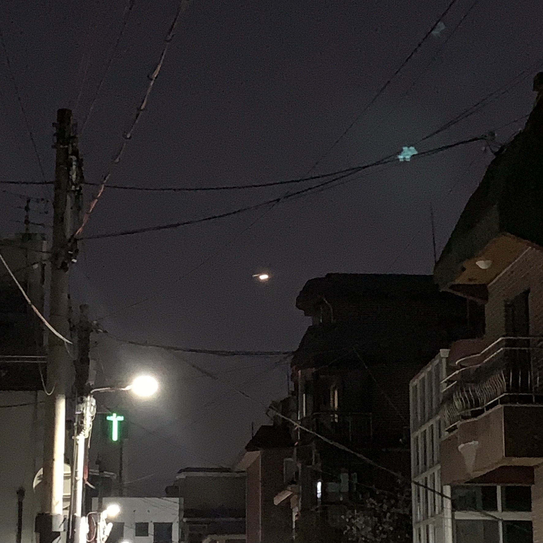 잔잔한 노래해요