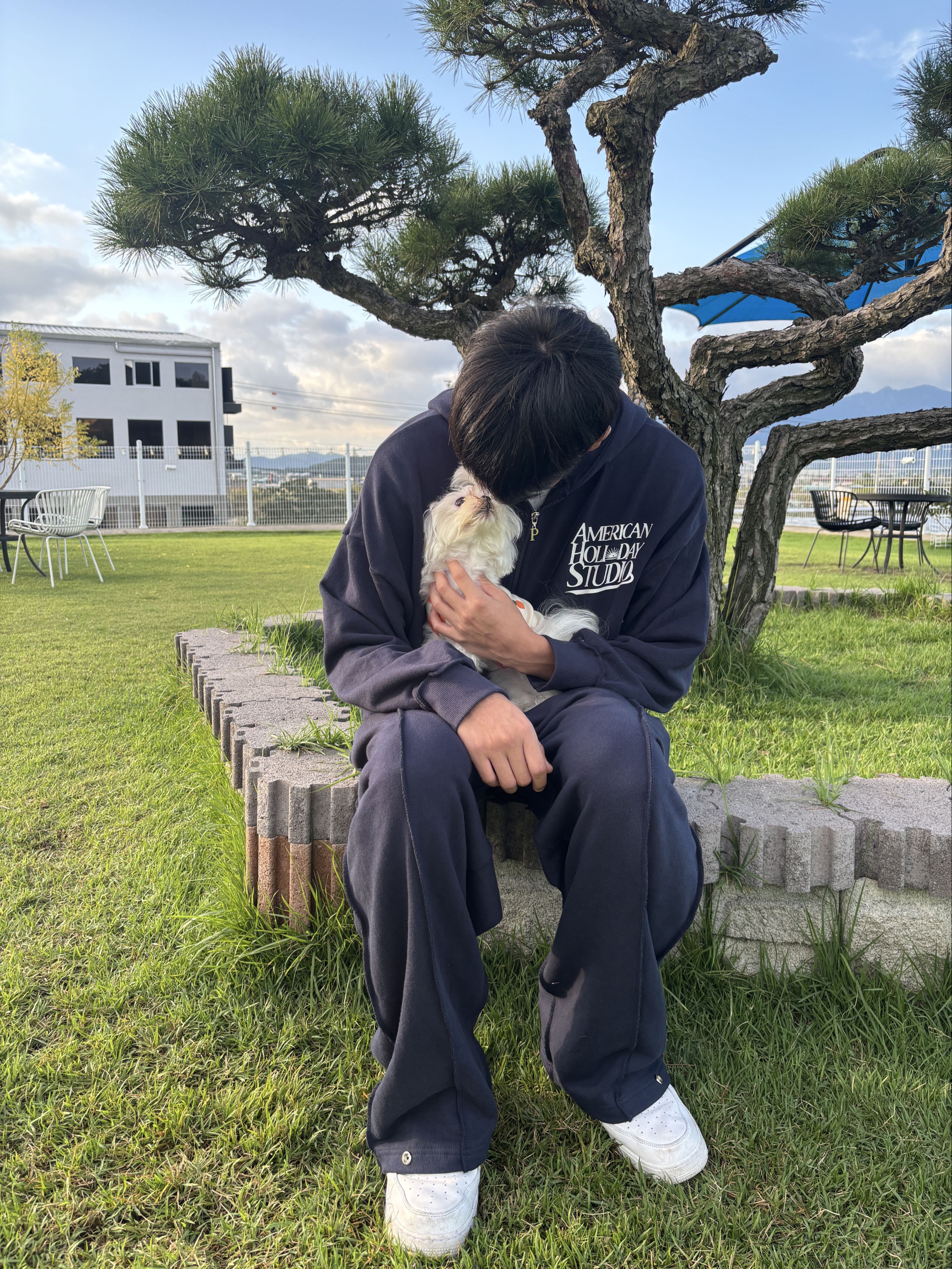 인 스 타