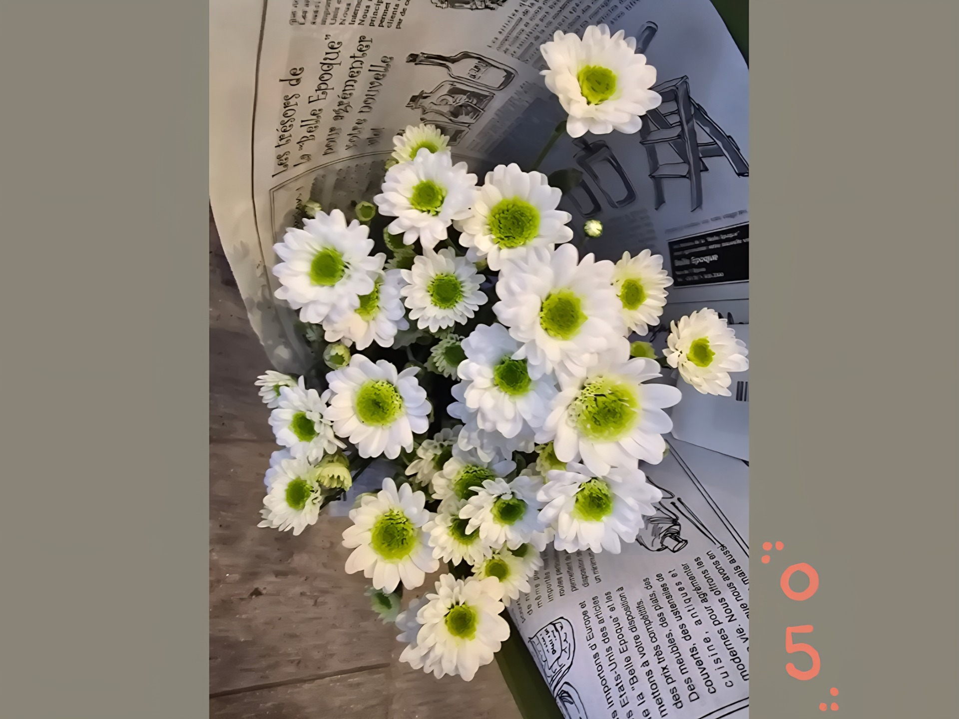 이리와요, 자자.