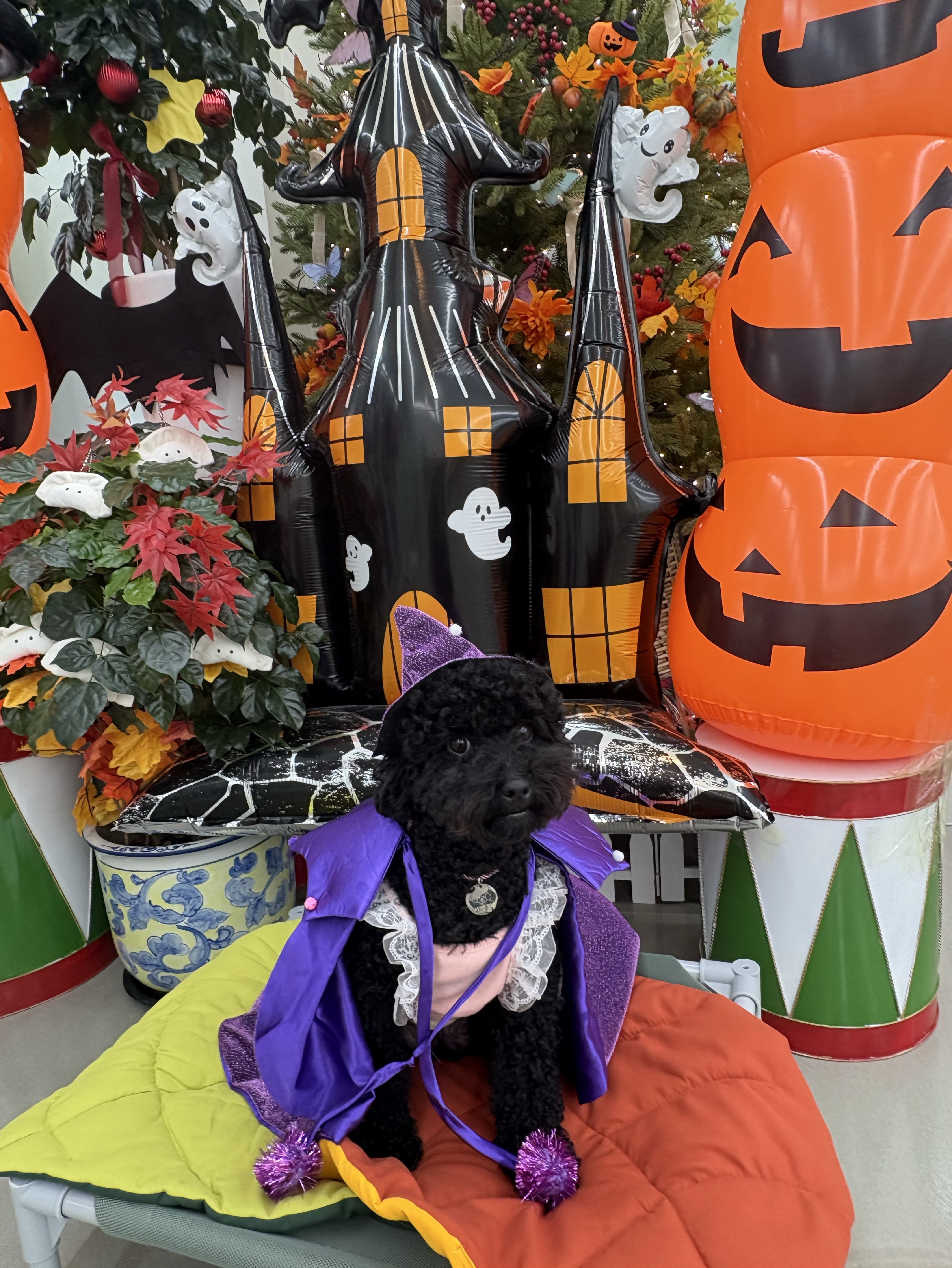 신입) 친구해줘요 라콜환영