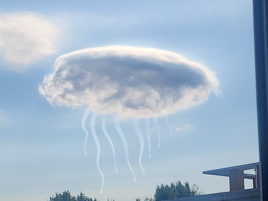 이리와요, 자자.