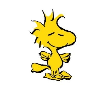 목살구이김치볶음