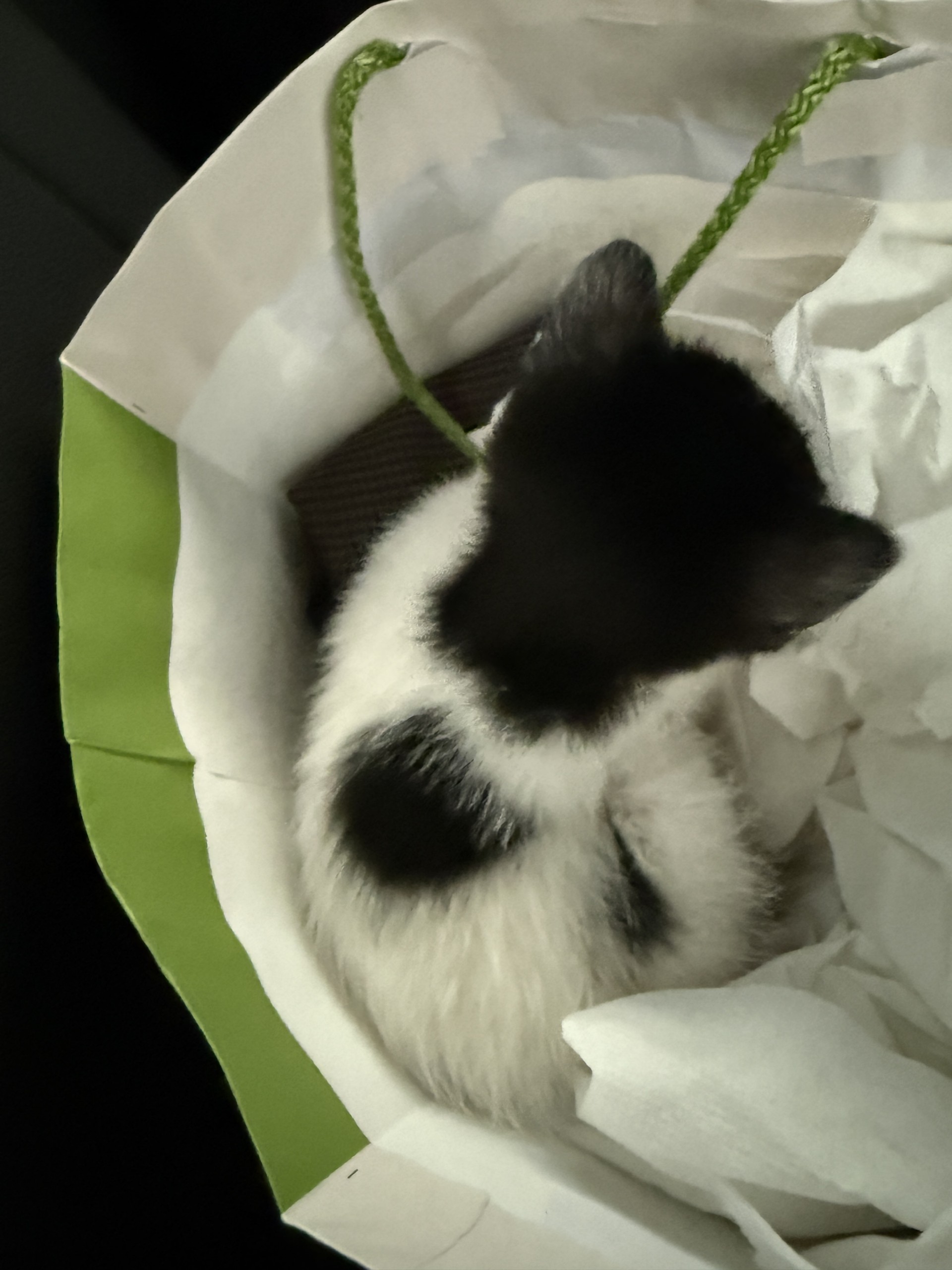 듣방할 곳이 없어서