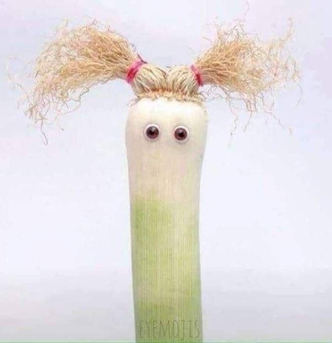 이상형 오면 방종