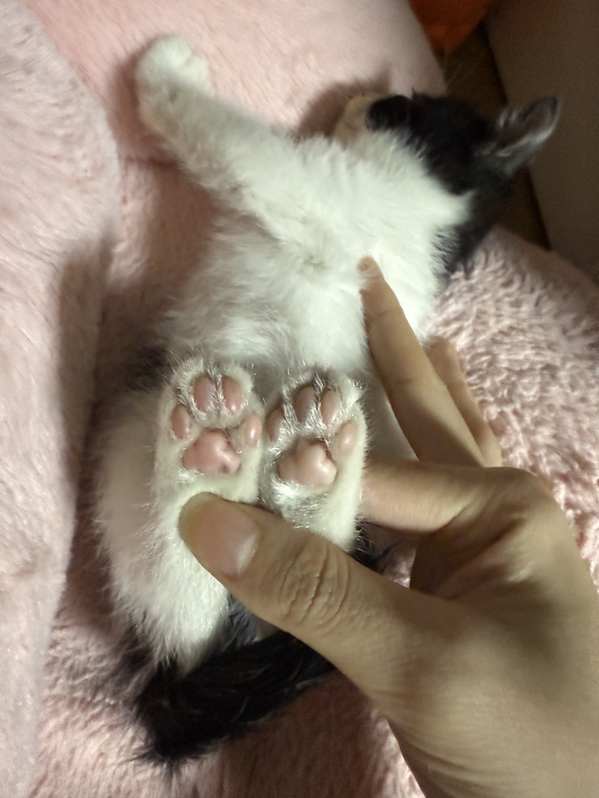 듣방할 곳이 없어서