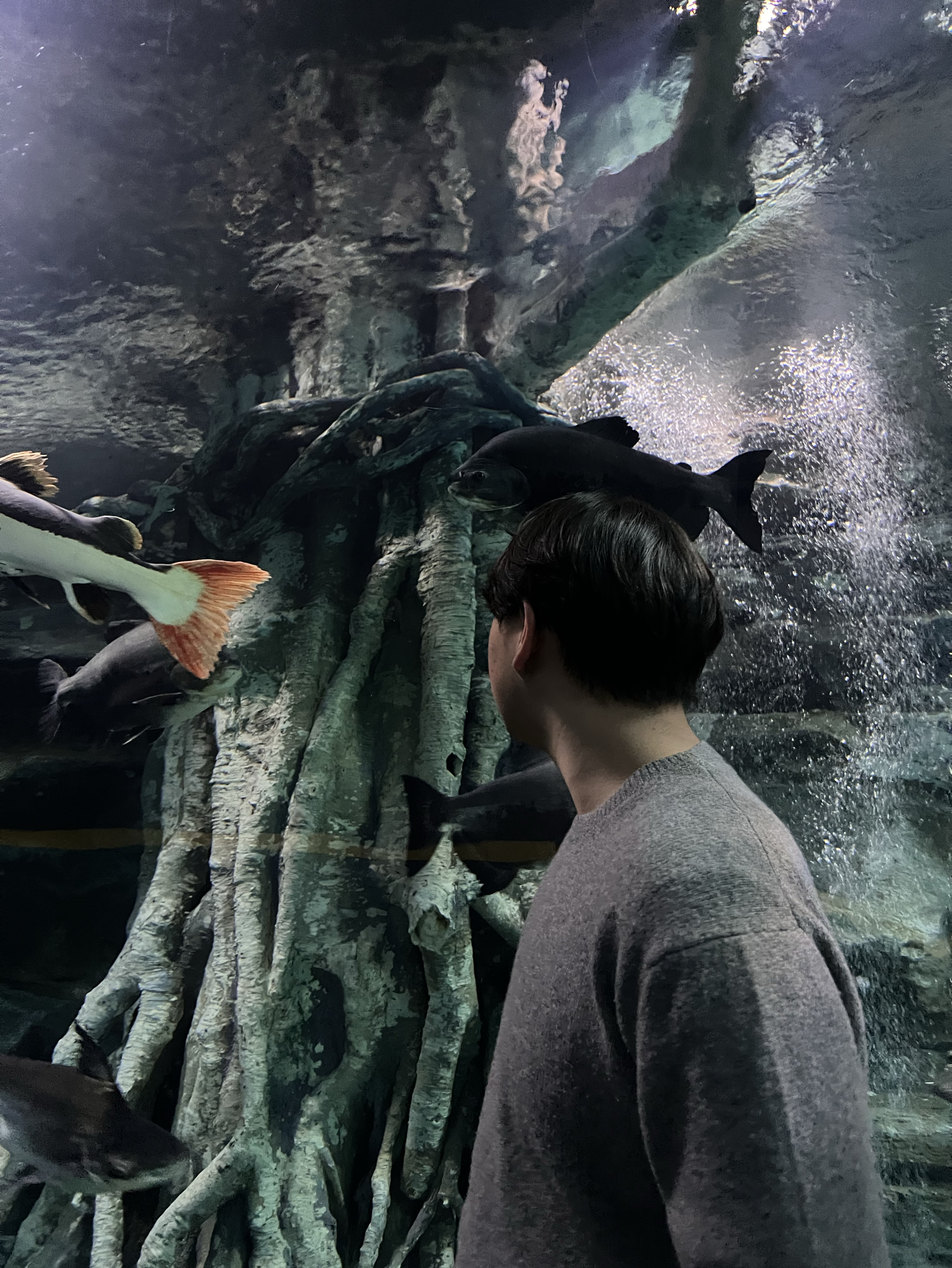 10혜자 룰렛 30개 🍔