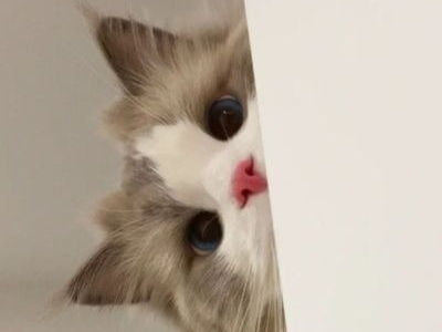 일단 잘까요? 늦잠 좋아.