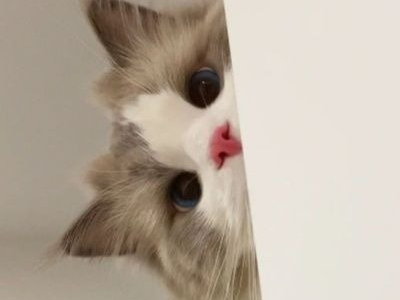 일단 잘까요? 늦잠 좋아. 