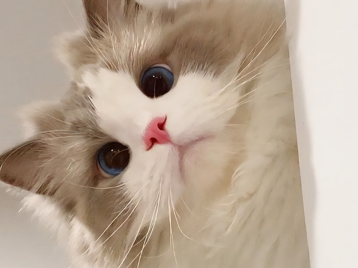 일단 잘까요? 늦잠 좋아.