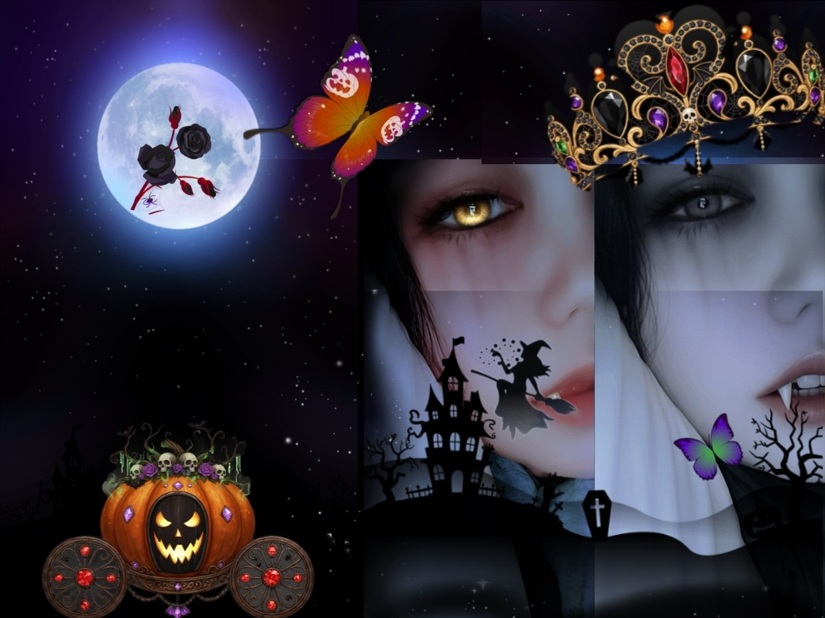 이리와오. 기싱업써. 자자.