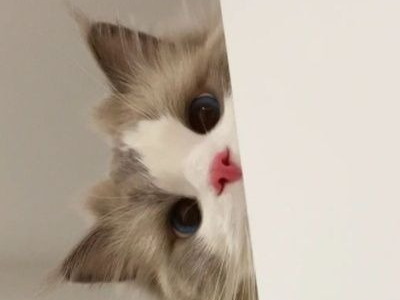 나랑 늘어지게 늦잠 잘까.