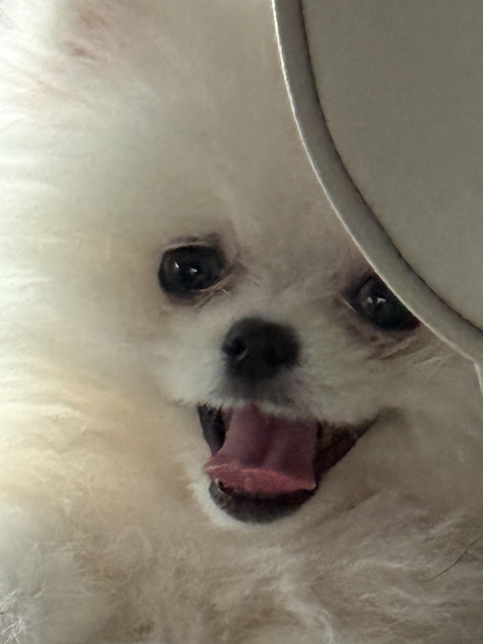 # 오늘도 감사합니다 ~ !