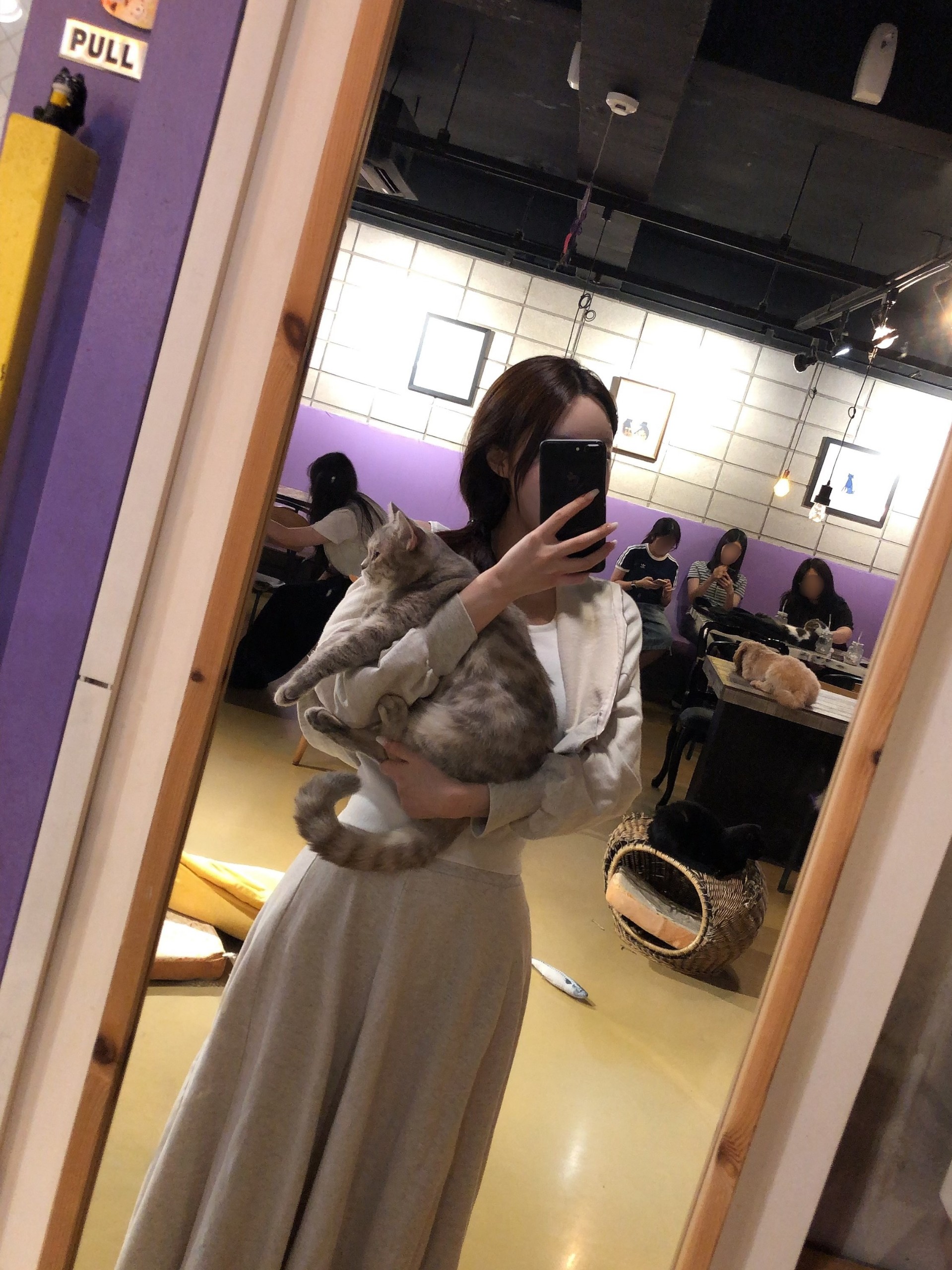 밤엔 세화를 찾아