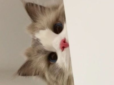 나랑 늘어지게 늦잠 잘까.