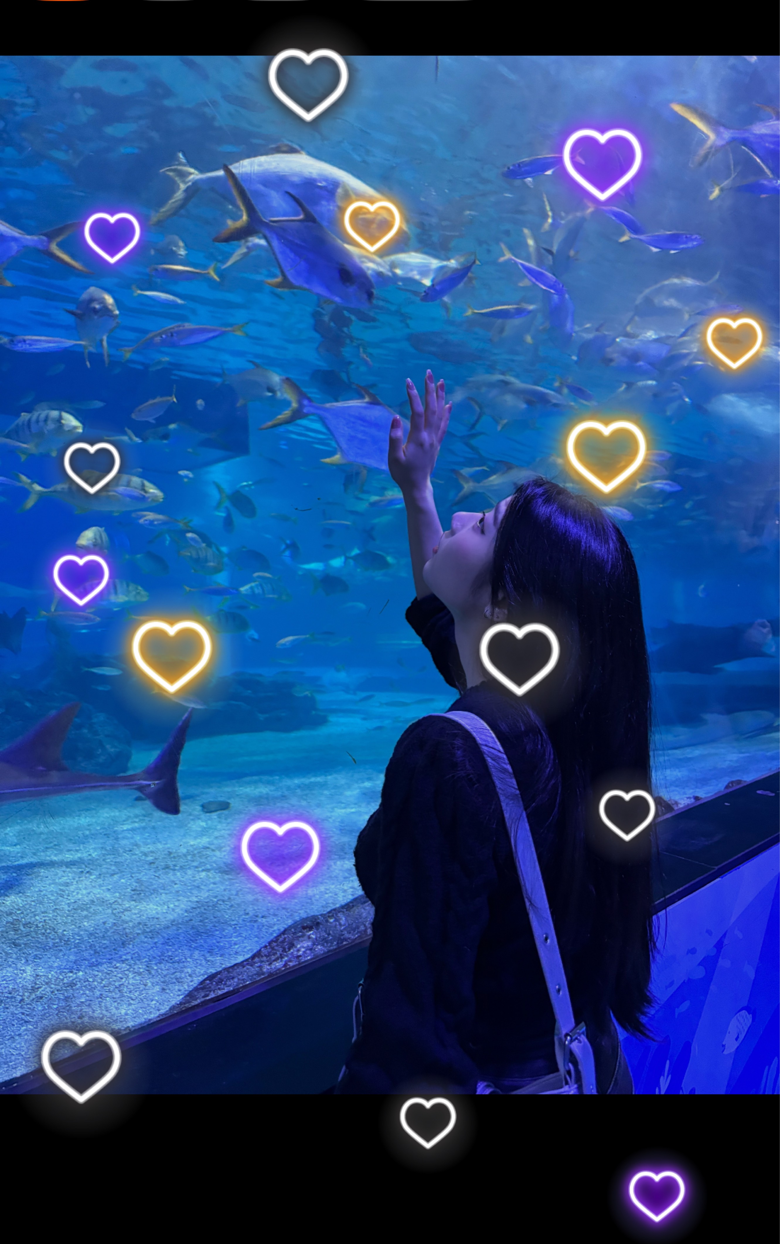 이상형 오면 납치