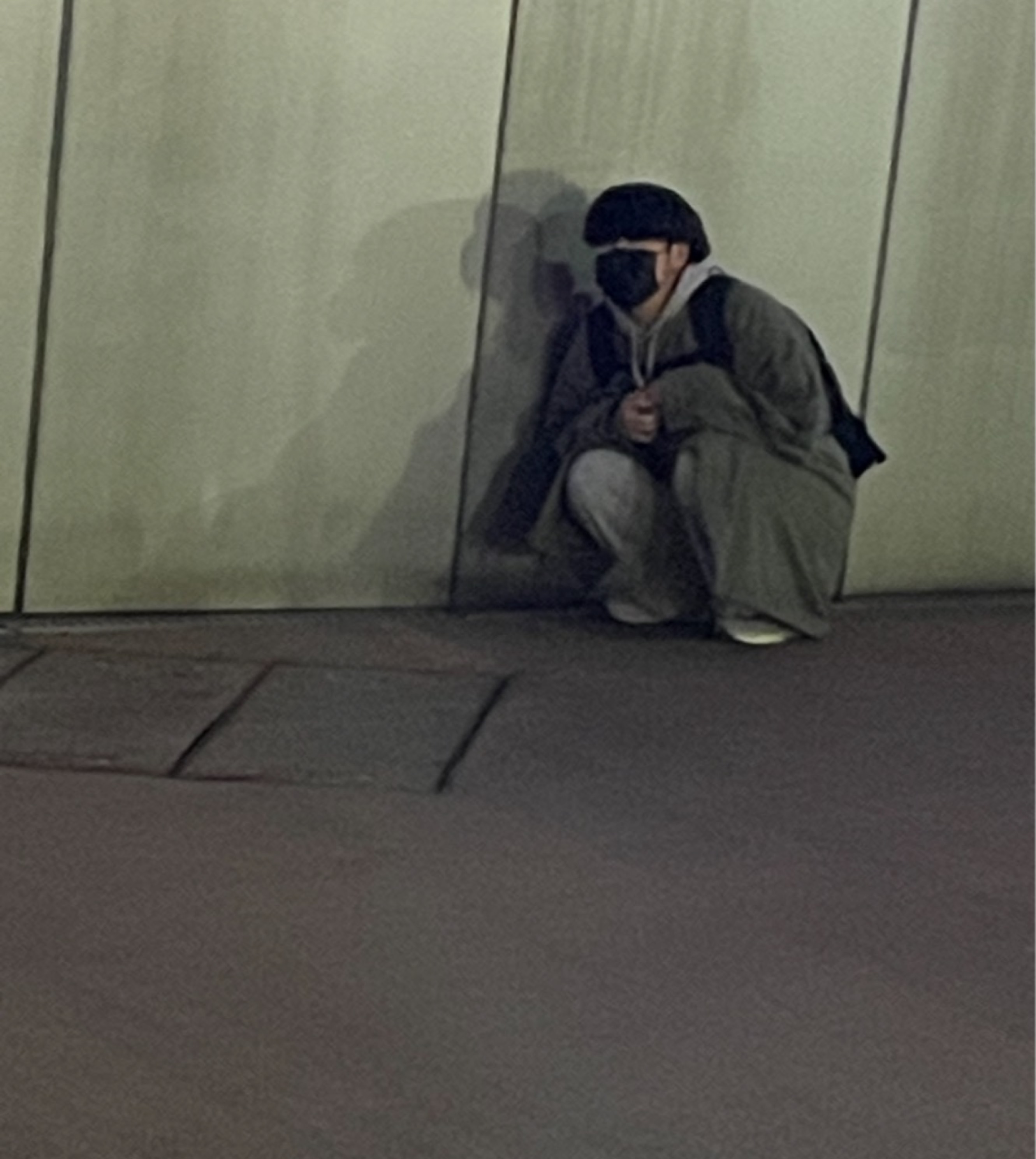 비토 주면 브이해줌