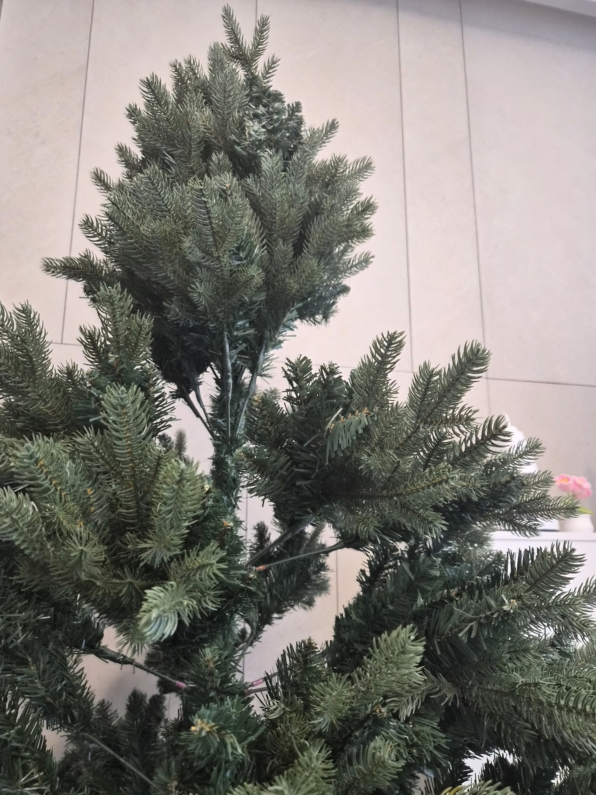 김우연의 일상 잡담소 ❣️