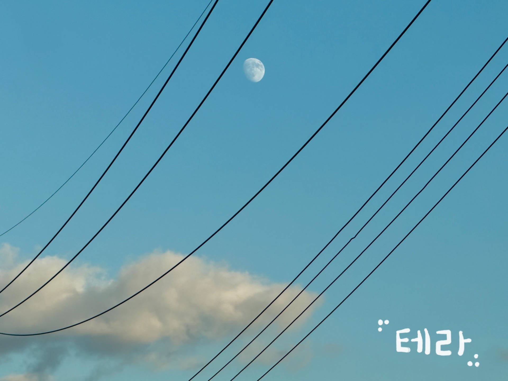 책잠_ 나랑 늘어지게 늦잠 잘래요? 