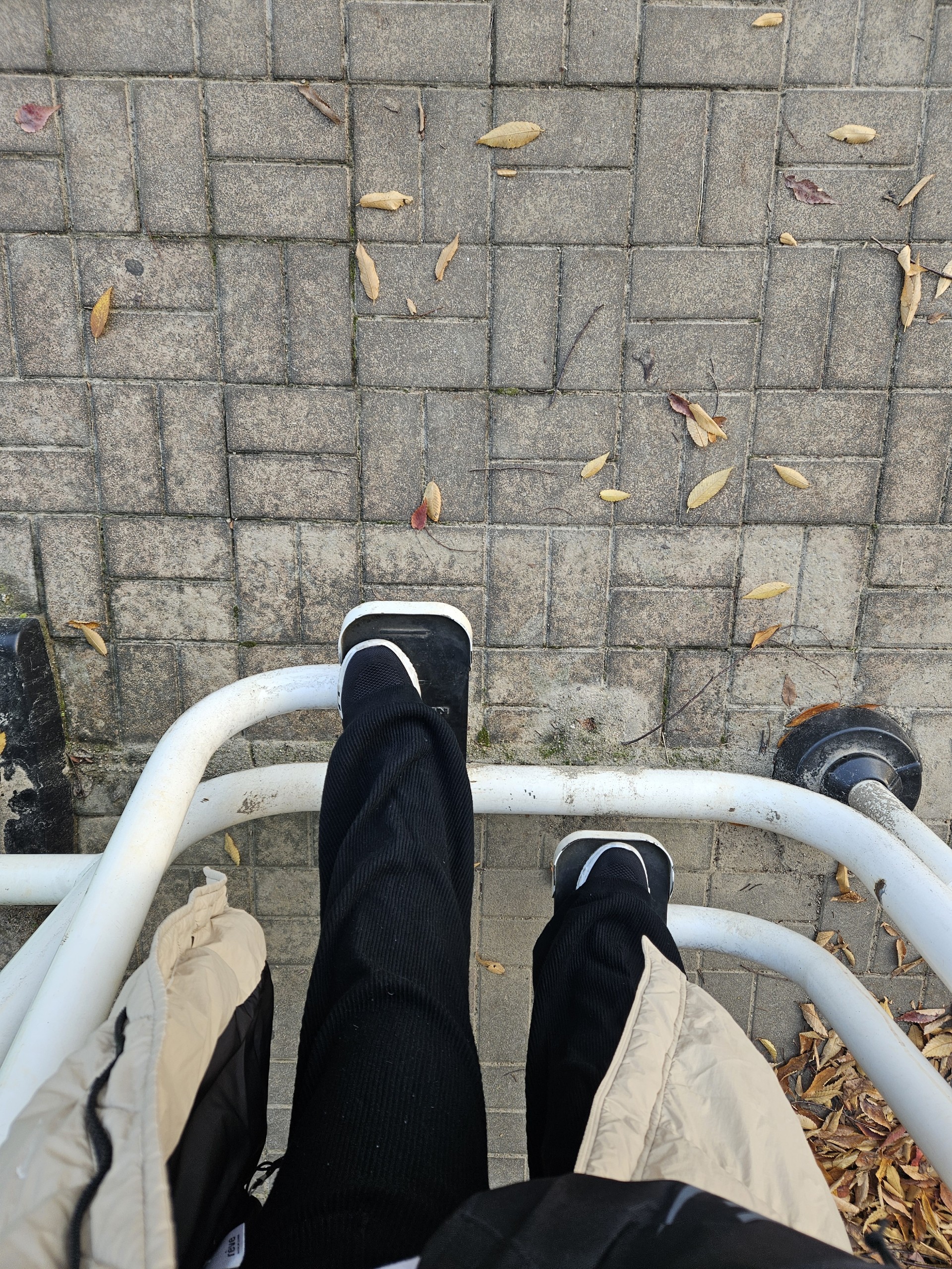 정규❤  아침 산책방송