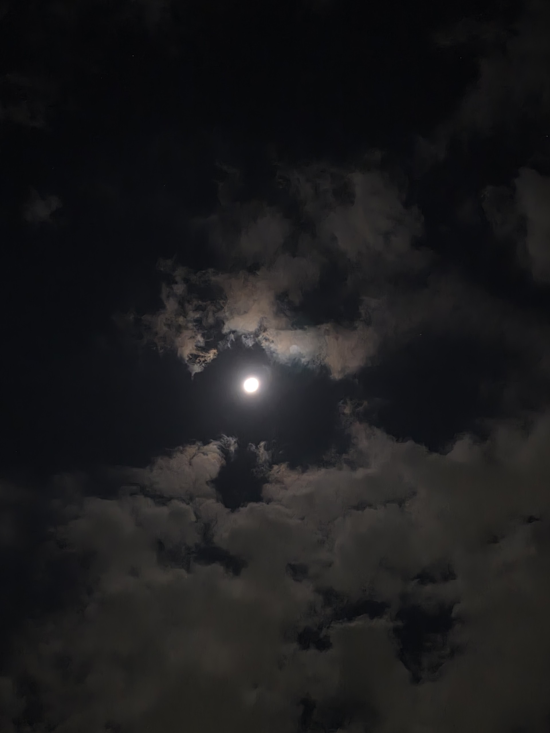 같이 잠이나 자