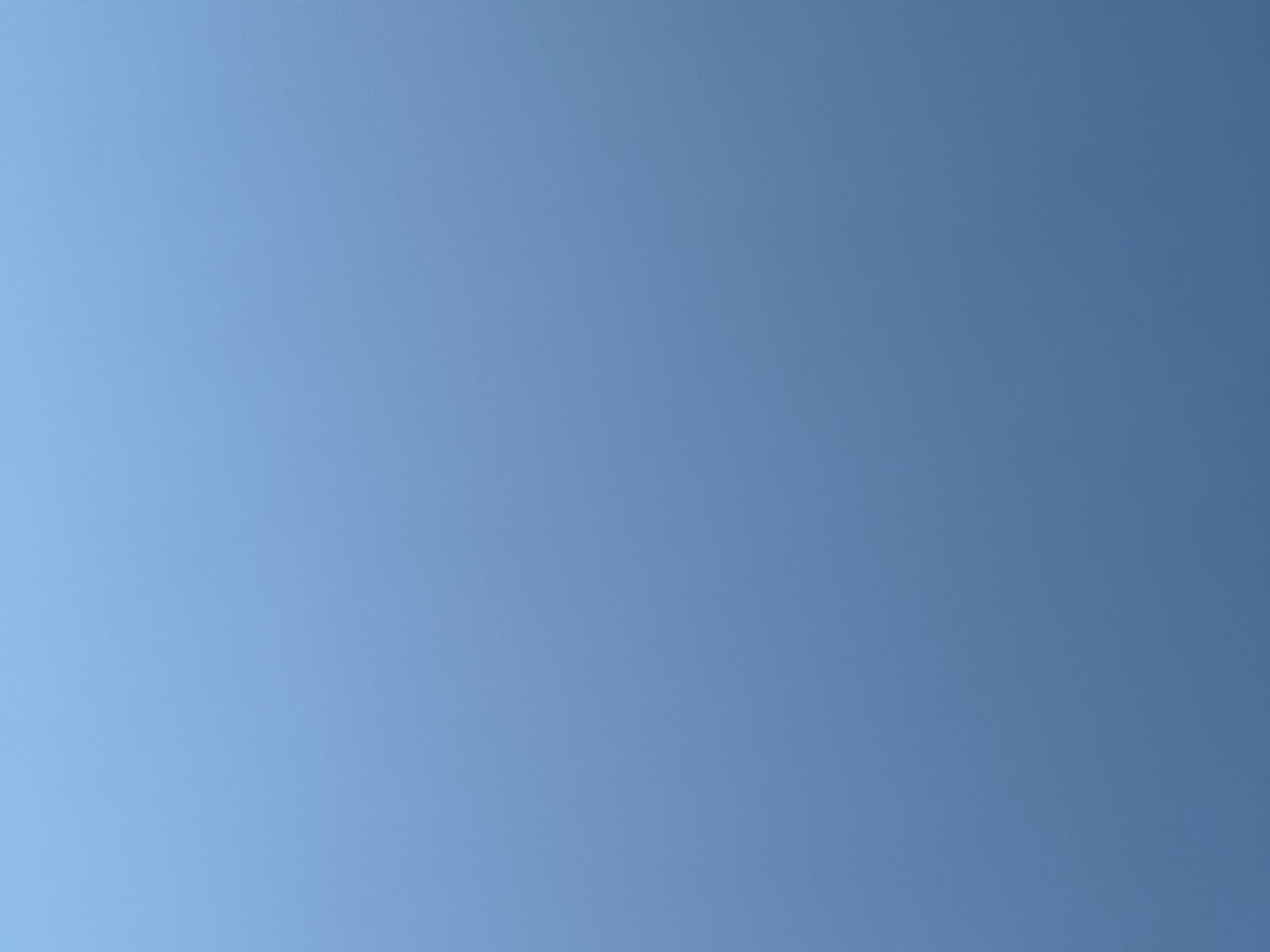 이리와요, 일단 자자. 