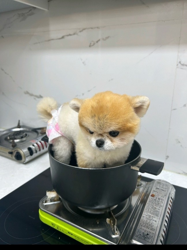 #훌럭훌럭 소개팅 관전가능ok