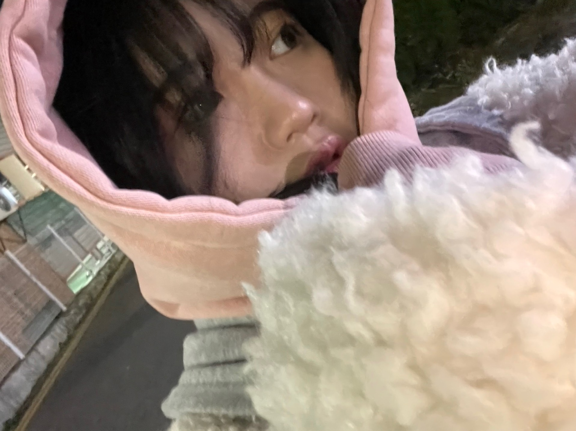 🌹좋은 아침이야!