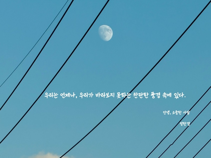 책잠방_ 도망 와요, 내 품으로.