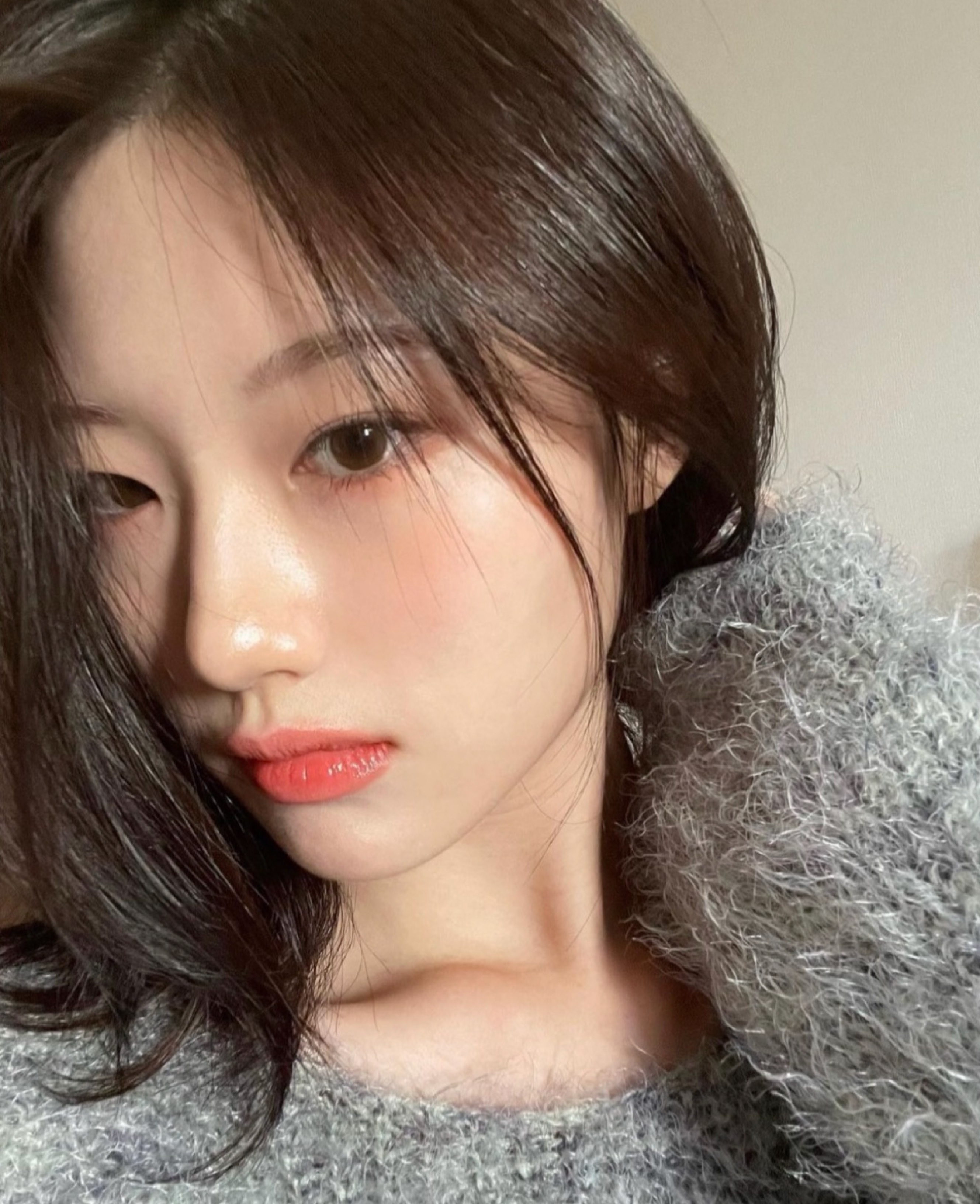 고사모(고양이를 사랑하는 모임)