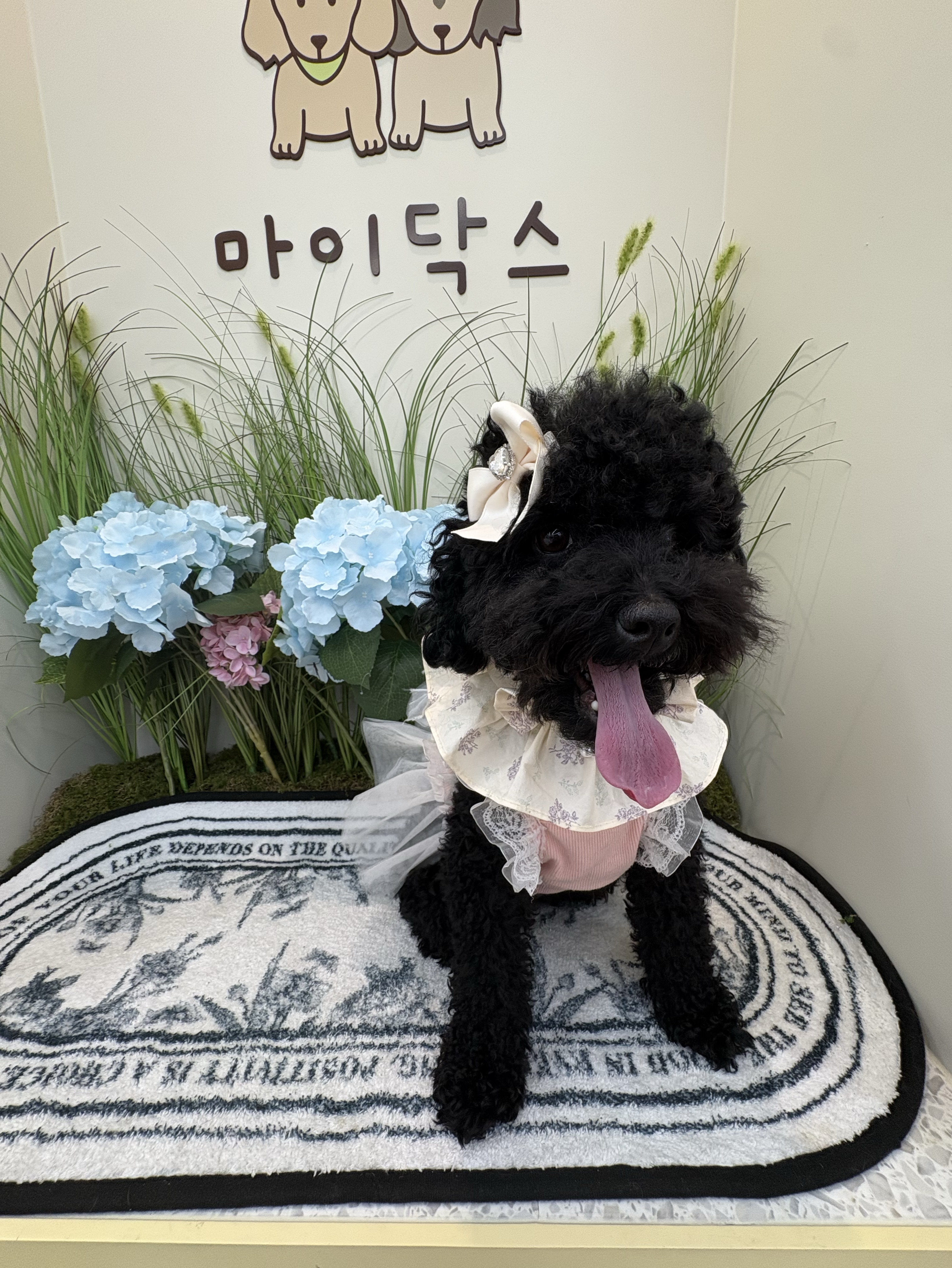 신입) 친구해줘요 라콜환영(일중)챗방