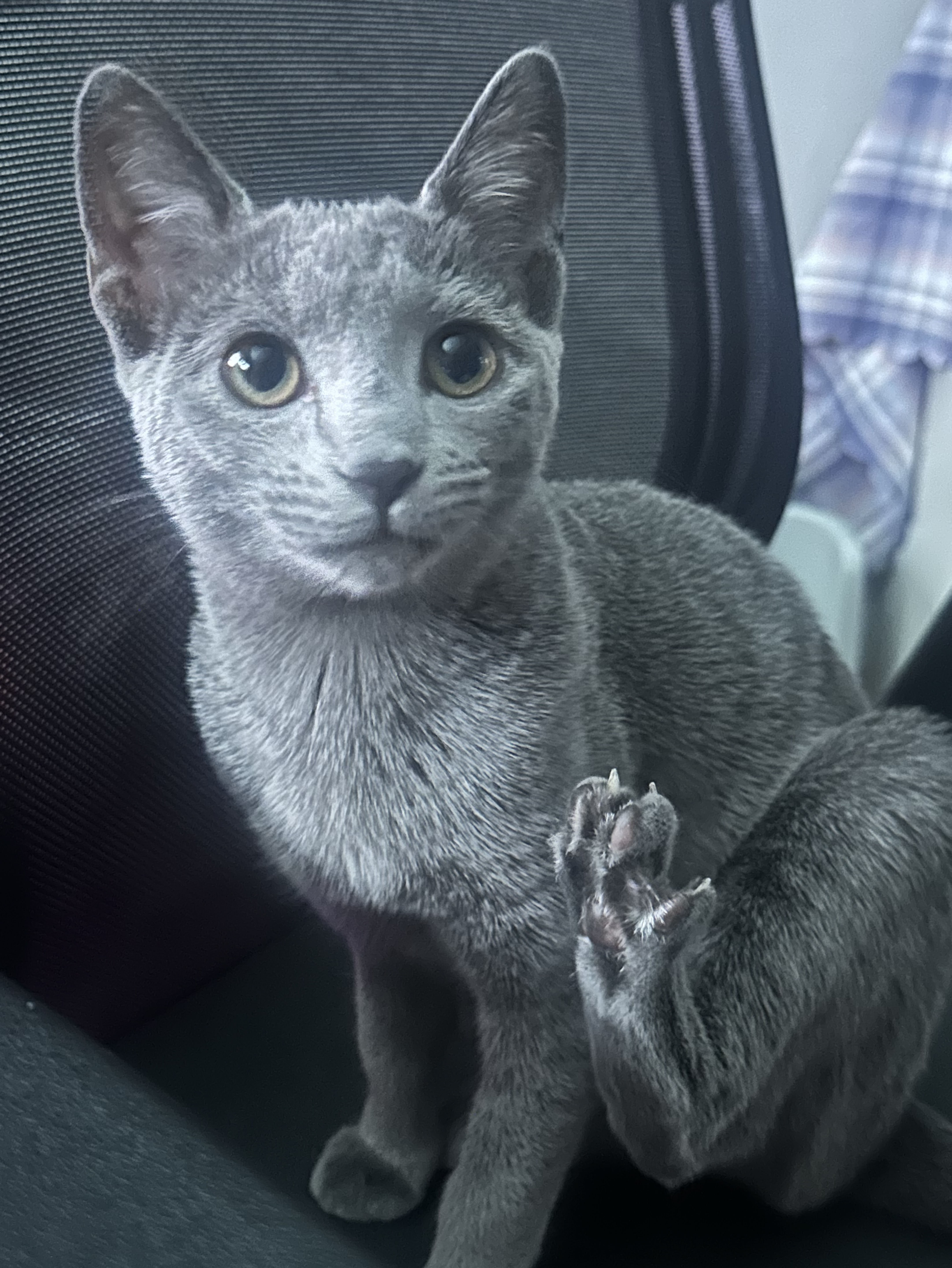 병원) 제리 소녀인생 안녕…