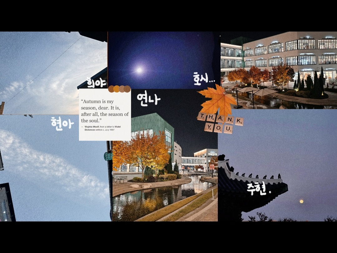 도망 와요, 내 품으로. 