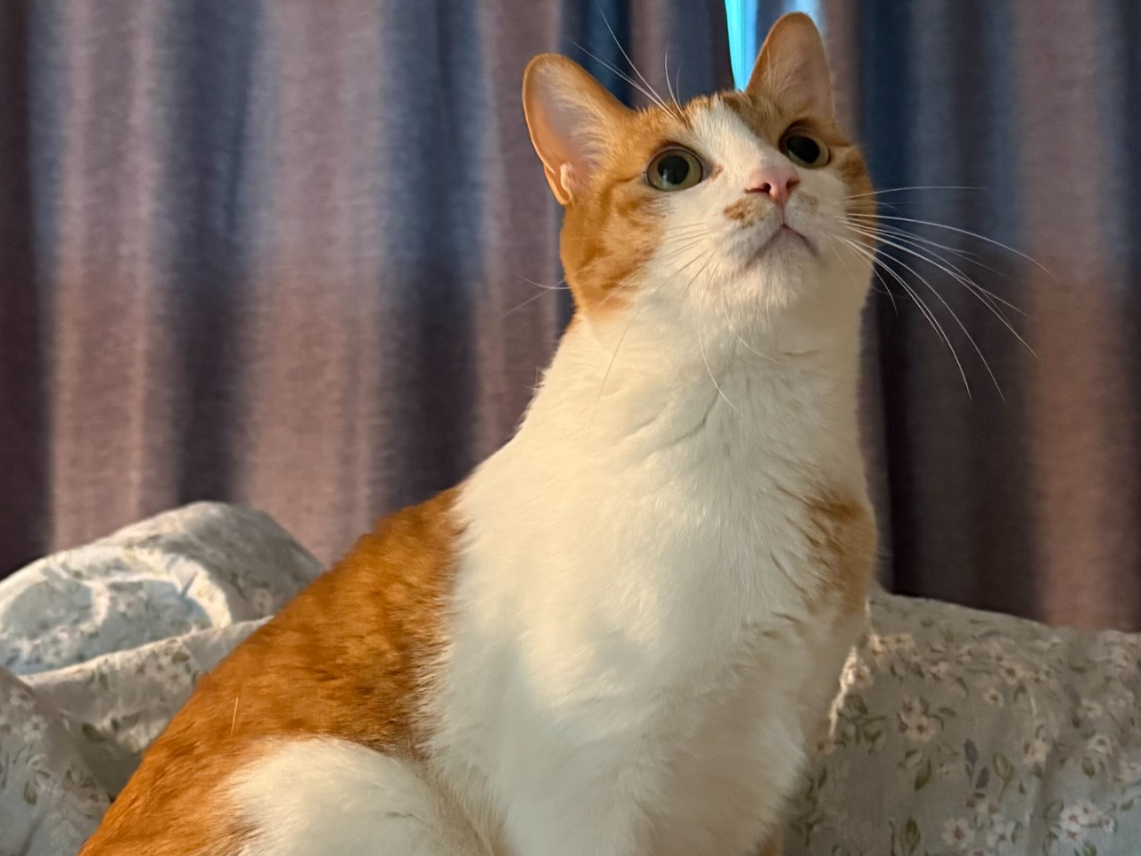 무슨 노래 좋아하세요?