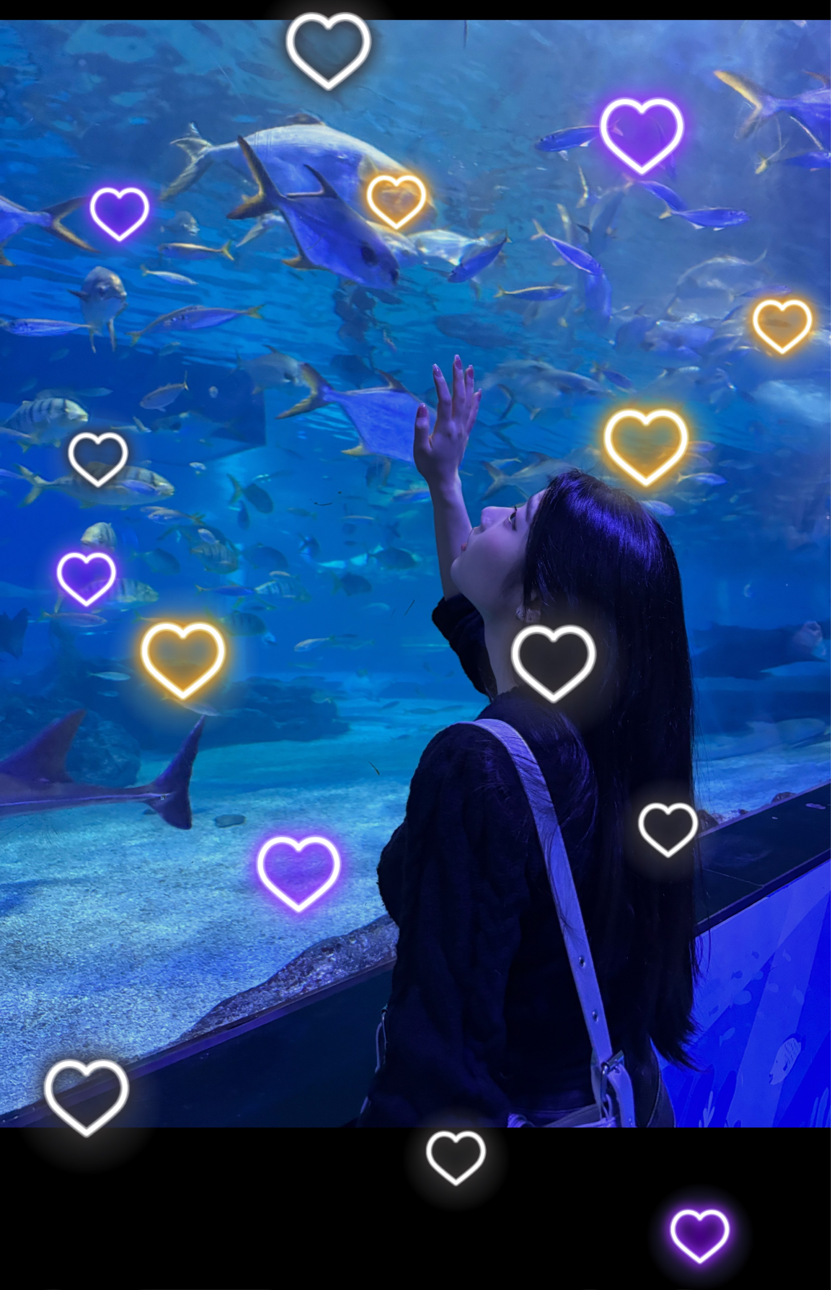 이상형 오면 납치