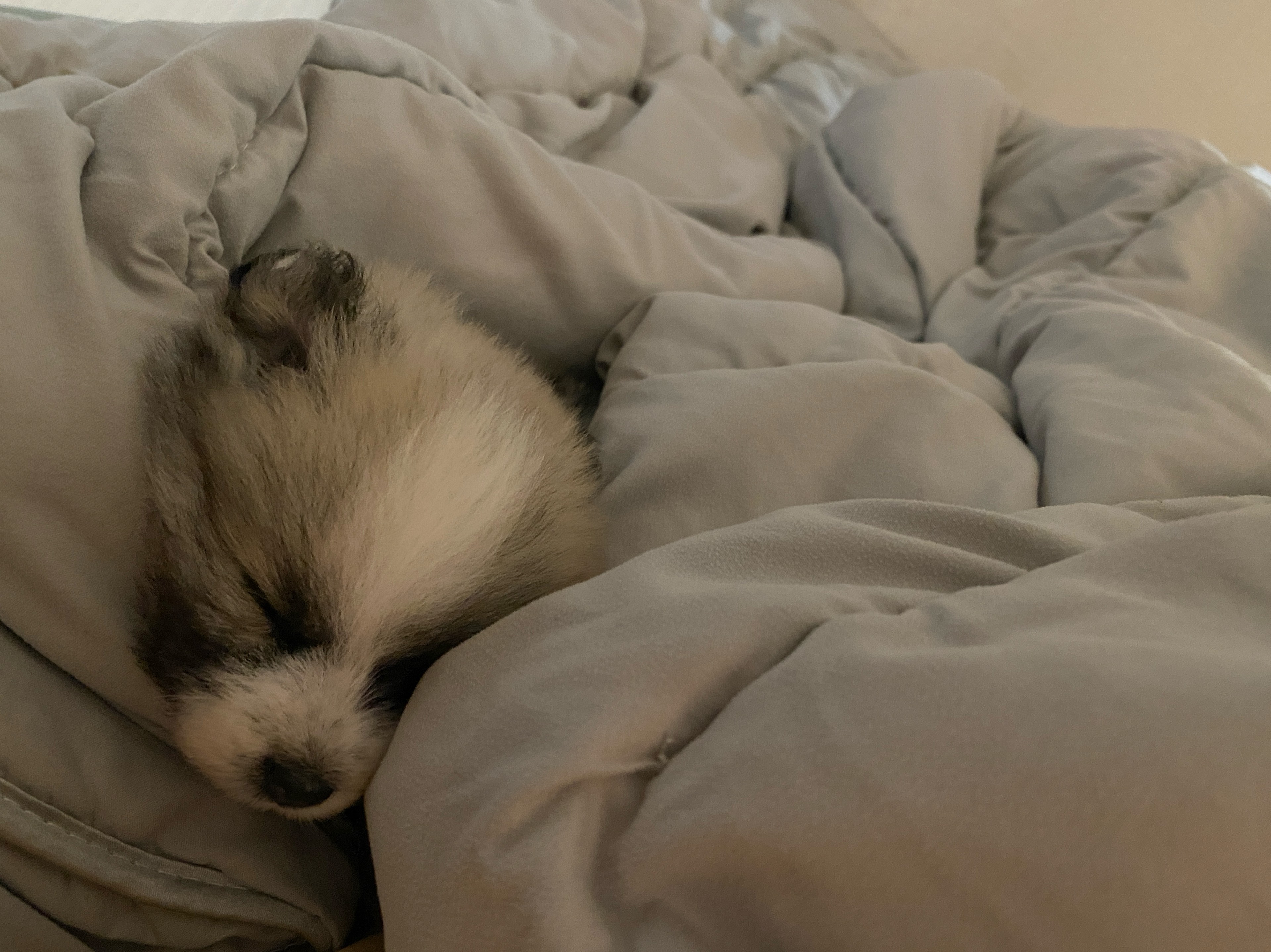 ☁️ 이불속에서 듣는 포근한 목소리☁