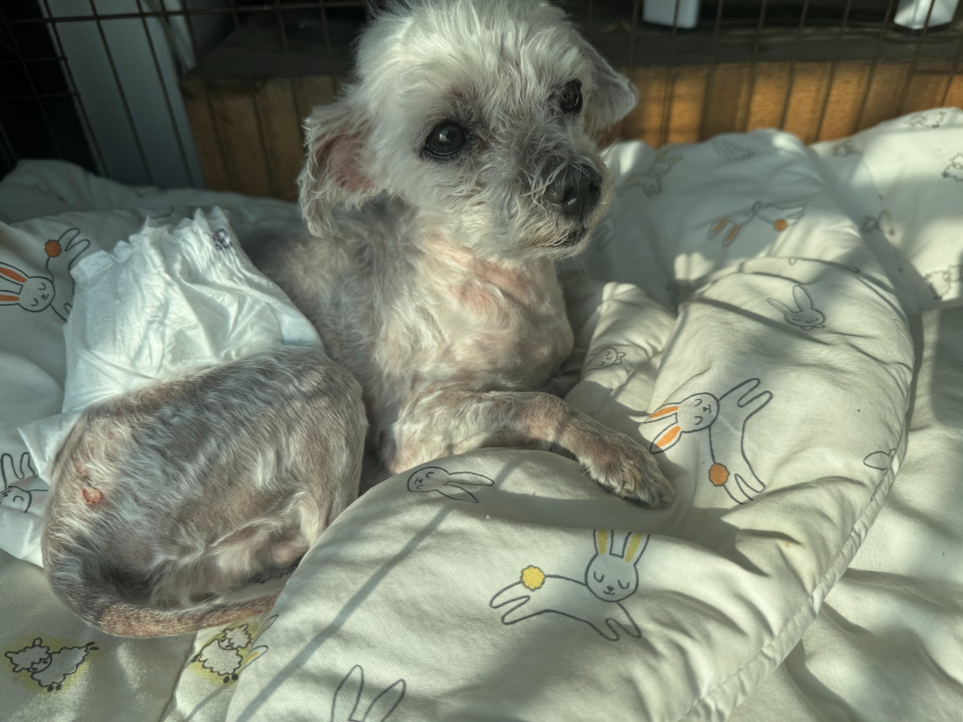 빼빼로데이는 무슨