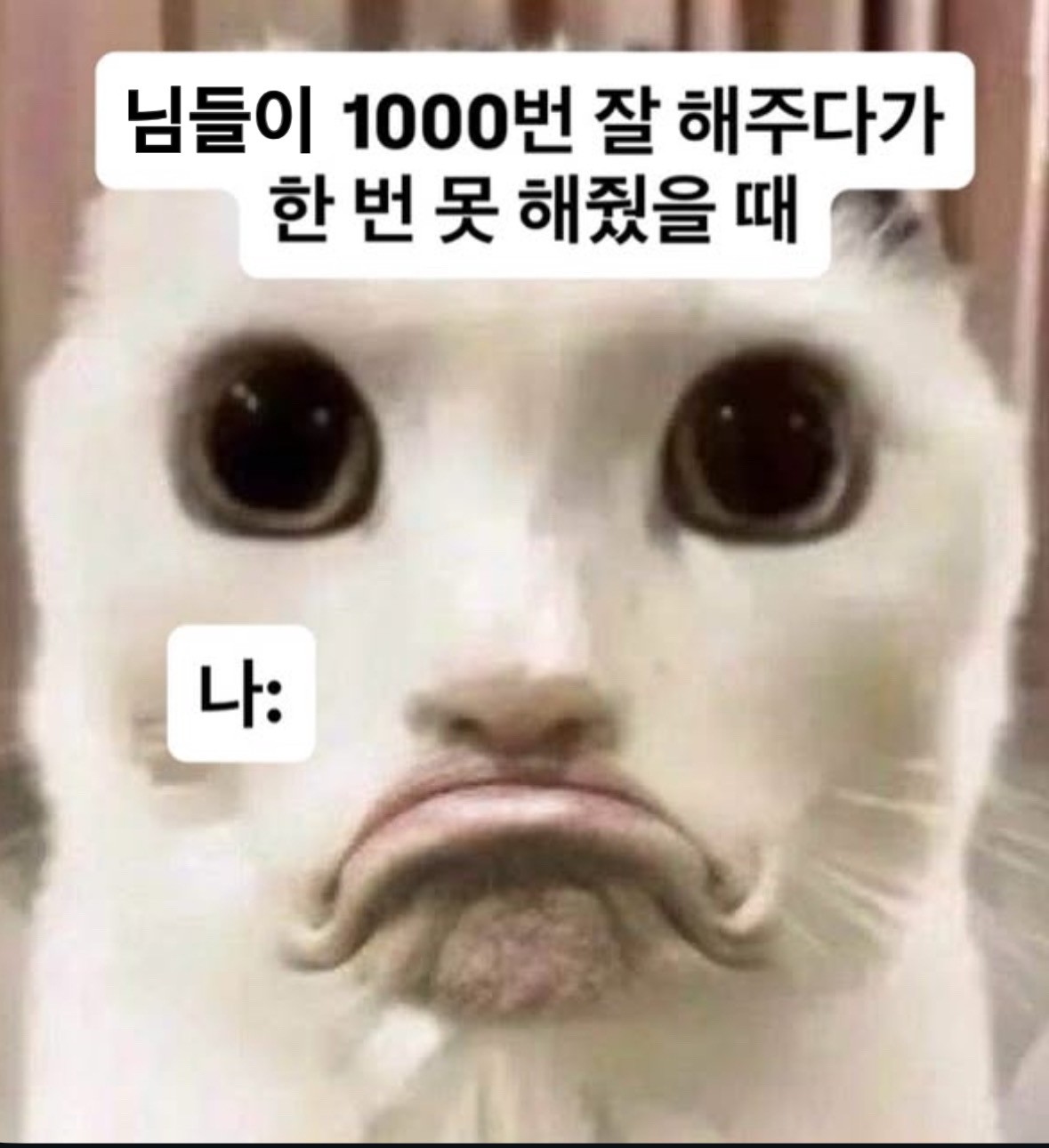 젠장 넌 또 푸린이야