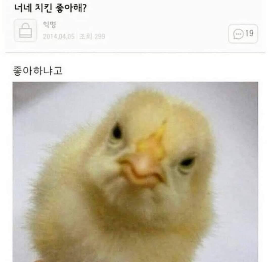 화요일